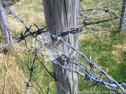 Image of Barb wire