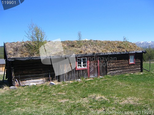 Image of Mountain pasture