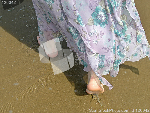 Image of Paddle