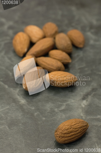 Image of almnod nuts