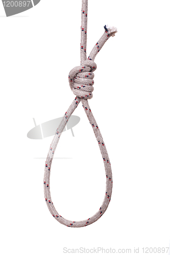 Image of noose on white