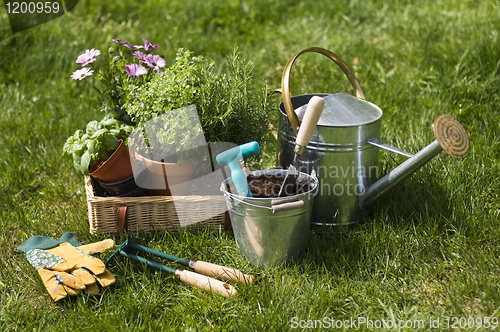 Image of Gardening