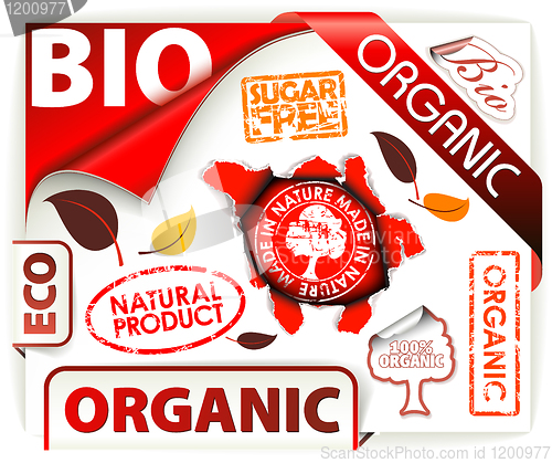 Image of Set of red bio, eco, organic elements