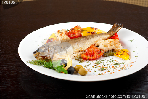 Image of trout fish