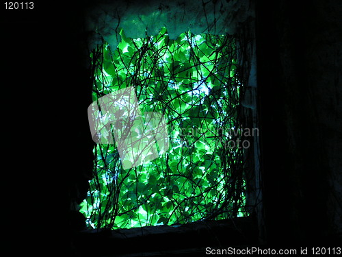 Image of window
