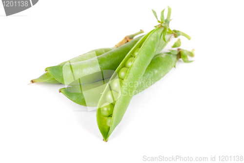 Image of Ripe pea