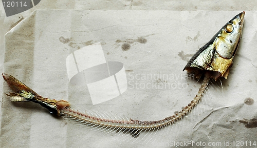 Image of skeleton