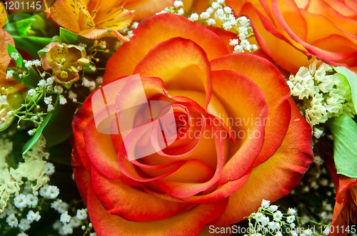 Image of orange roses flower bouquet
