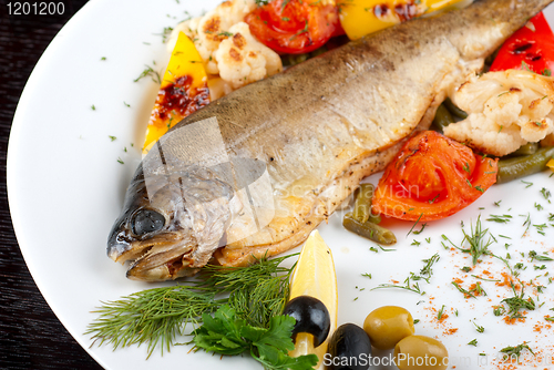 Image of trout fish