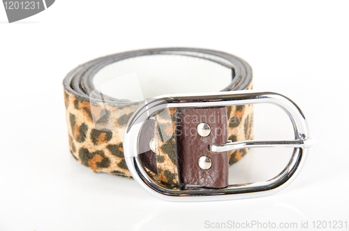 Image of leopard belt