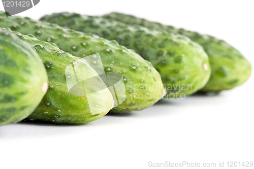 Image of five ripe cucumber closeup