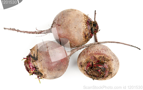 Image of Fresh beets