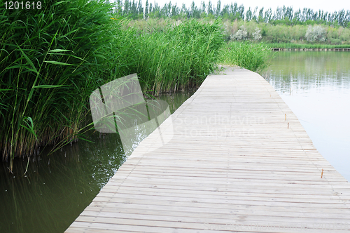 Image of Wooden bridge in water