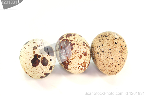 Image of Quail eggs