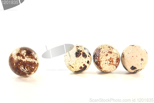 Image of Quail eggs