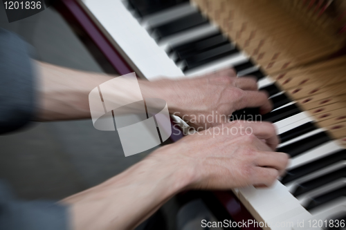 Image of Piano player entertaining