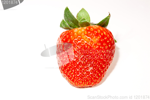 Image of strawberry