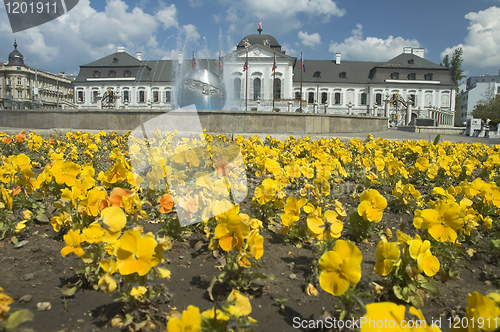 Image of Grassalkovich palace