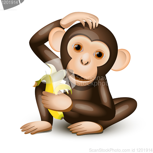 Image of Little monkey