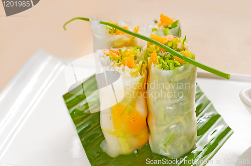 Image of vietnamese style summer rolls