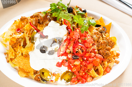 Image of fresh nachos and vegetable salad with meat