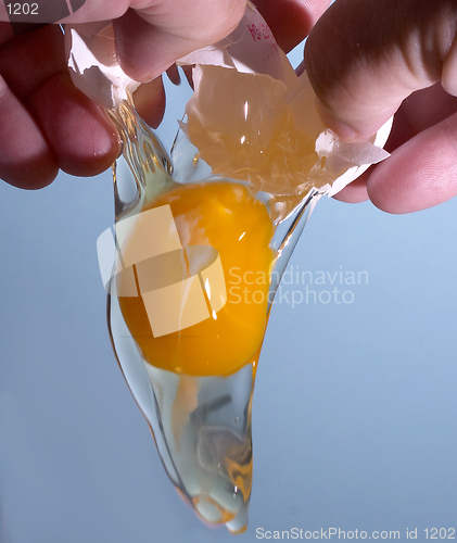 Image of Add an egg