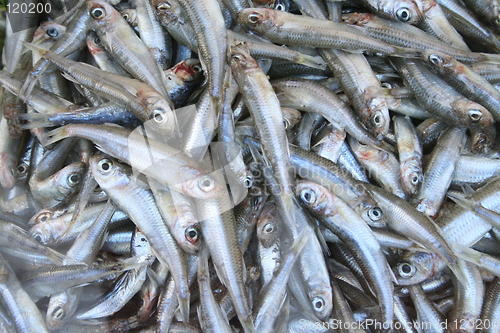 Image of Boquerones