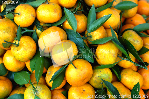 Image of Orange