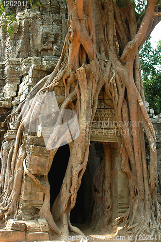 Image of Angkor,Cambodia