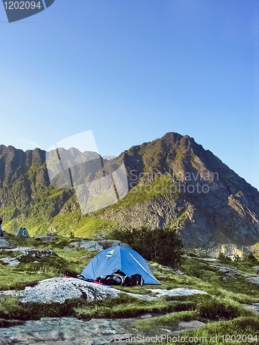 Image of Tent in a lofoten camping site