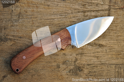Image of Hand made hunting knife