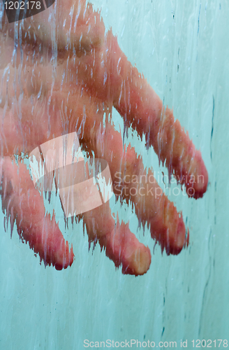 Image of The water environment