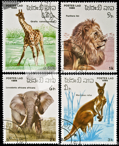 Image of Collection of wild animals stamps.