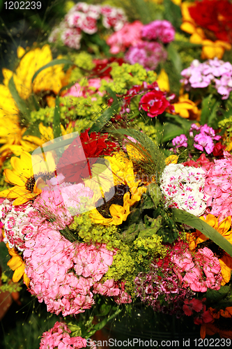 Image of Flowers for sale