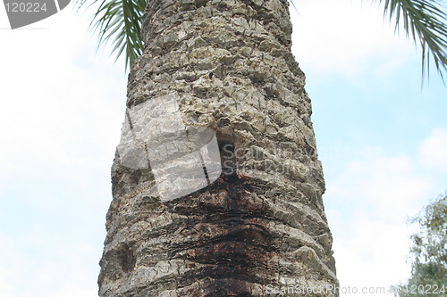 Image of A squirrel´s food store