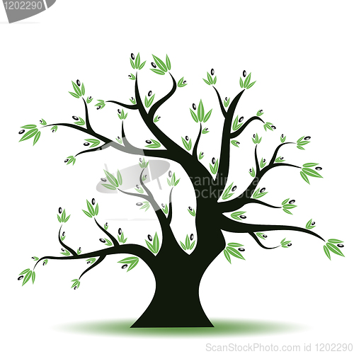 Image of Olive tree