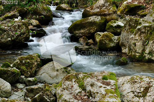 Image of Forest waterfall