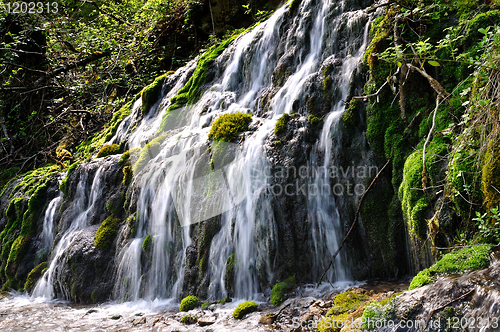 Image of Forest waterfall
