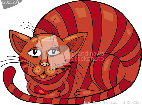 Image of Red Cat