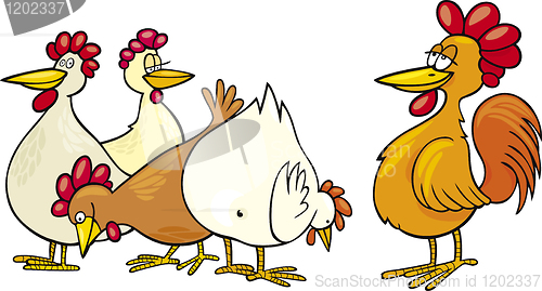 Image of Rooster and hens