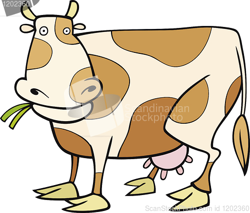 Image of Cow