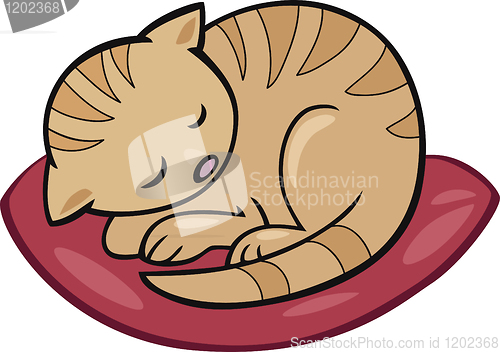 Image of sleeping kitten