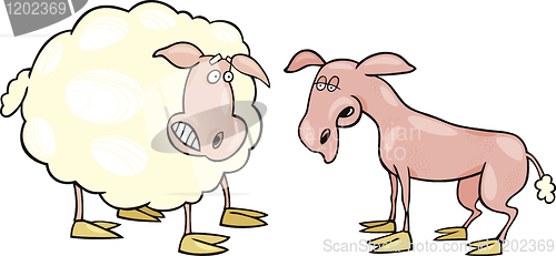 Image of Frightened sheep and shaved one