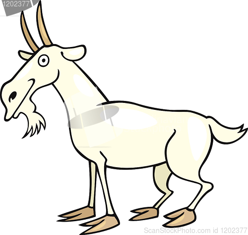 Image of goat