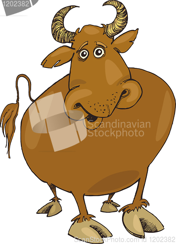 Image of funny bull