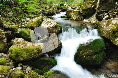 Image of Forest waterfall