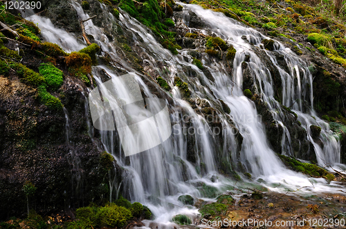 Image of Forest waterfall