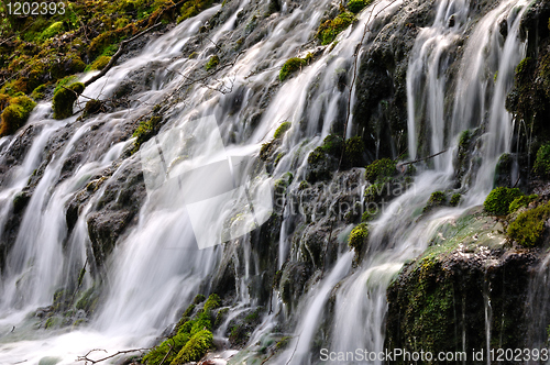 Image of Forest waterfall