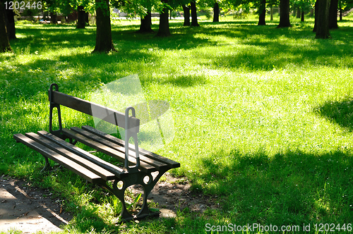 Image of Spring morning in park