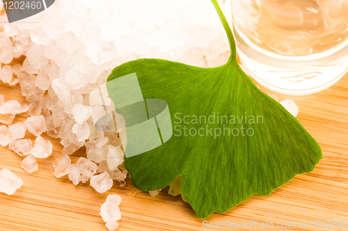 Image of fresh leaves ginko biloba essential oil and sea salt - beauty tr